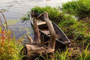 Wędrówka doliną Narwi, Podlasie, Polska