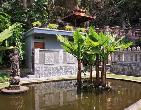 Pond with tropical plants in a garden, Bali, Indonesia