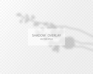 Shadow overlay effect. Natural shadows isolated on transparent background. Vector illustration. 