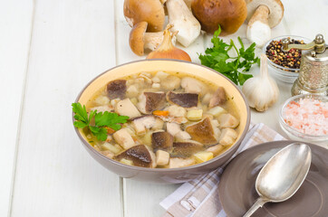 Bowl of forest edible porcini mushroom soup on wooden table
