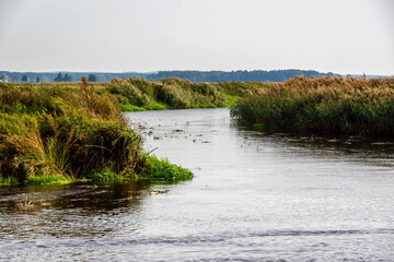 Wędrówka doliną Narwi, Podlasie, Polska © podlaski49