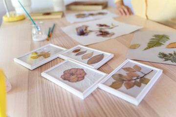 Close-up of dry leaves in frames on wooden table at home