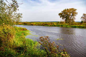 Wędrówka doliną Narwi, Podlasie, Polska © podlaski49