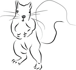 Vector illustration sketch funny  squirrel  standing. Comic animal