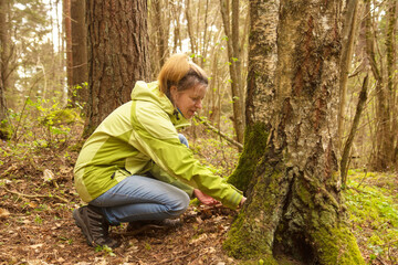 A woman geocaching. Women in woods find geocache container. Big ammo box with log book and some toys. 