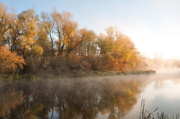 Waterfall Background. Yellow Autumn Plant. Orange Misty Fall. Gold Bright Mountainscape. Green Organic Decor. Autumn Template. Colorful Nature. Abstract Template.