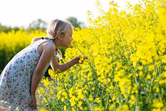 Little girl taking smell of rapeseed flowers while standing in field