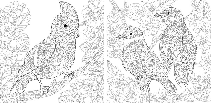 Coloring page. Birds in floral garden. Line art drawing for adult or kids coloring book in zentangle style. Vector illustration.