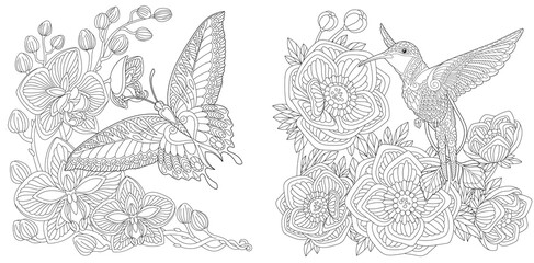 Coloring page. Butterfly and hummingbird. Line art drawing for adult or kids coloring book in zentangle style. Vector illustration.