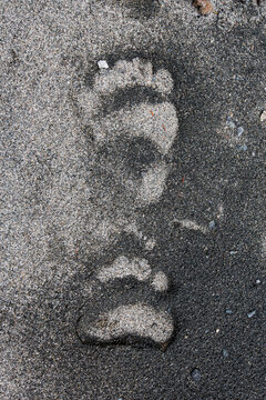 Overhead view of brown bear's footprint on sand
