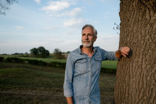 Content mature man leaning against a tree trunk in the countryside