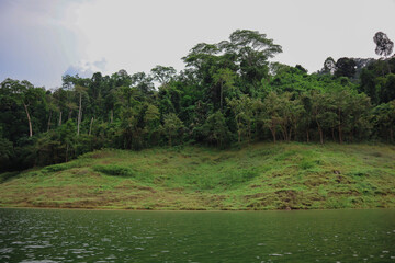 khao Chong Lom Waterfall Flows in the fresh green valley.Touchable nature At Khun Dan Prakarnchon...
