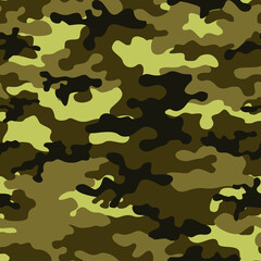 camouflage seamless pattern. Military pattern. Print