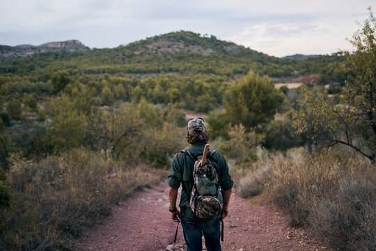 Mature man looking at landscape while standing in forest