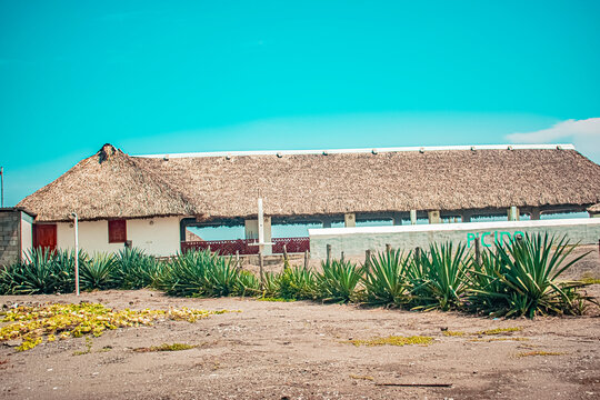 casa grande con hojas seca encima hermoso paisaje 