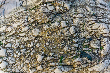 Cracked Rock Background 2