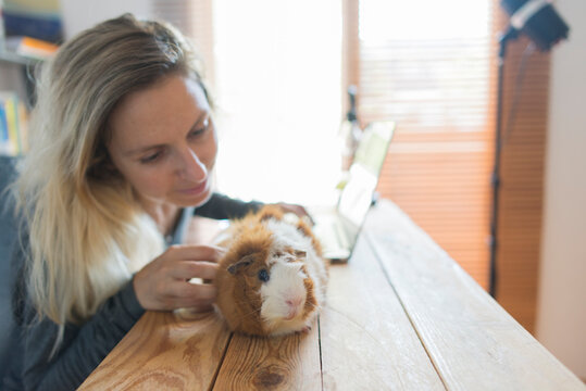Blond woman stroking guinea pig while sitting with laptop at table