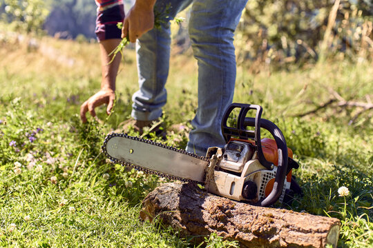 Lumberjack picking grass while standing by chainsaw in forest