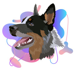 Australian cattle dog, vector image. Portrait. Colored gradient