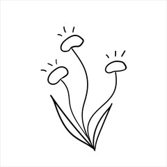 Doodles Herbs and flowers, hand-drawn flowers, floral set of wildflowers and herbs, vector objects isolated on a white background.