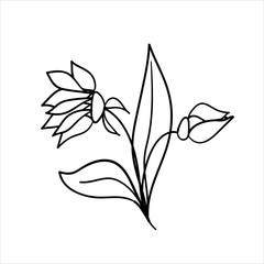 Doodles Herbs and flowers, hand-drawn flowers, floral set of wildflowers and herbs, vector objects isolated on a white background.