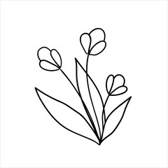 Doodles Herbs and flowers, hand-drawn flowers, floral set of wildflowers and herbs, vector objects isolated on a white background.