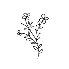 Doodles Herbs and flowers, hand-drawn flowers, floral set of wildflowers and herbs, vector objects isolated on a white background.