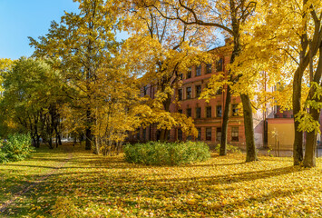 Walk along the autumn prospect in the city .