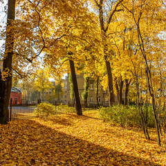 Obraz premium Walk along the autumn prospect in the city .
