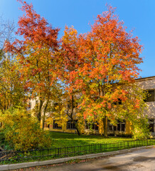 Walk along the autumn prospect in the city .