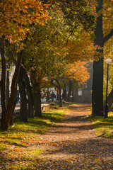 Naklejka premium Walk along the autumn prospect in the city .