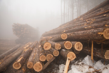 View of log truck and stacked logs in winter forest
