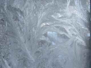 Feathers of Ice