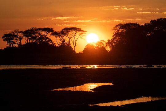 Silhouette of trees during sunset on Acacia Island in Busanga Plains