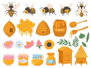 Beekeeping. Apiculture products various honey in glass jars. Honeycomb, beeswax, beehive, flowers and bees organic food vector set. Illustration honey and beekeeping, bee and sweet organic
