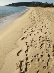 Footprints and pawprints in the sand at Porto Campana beach near Chia in Sardinia, Italy