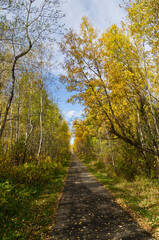 Hiking Trail in Autumn