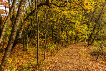 Maizerets Park in Quebec city, mid autumn