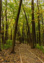 Maizerets Park in Quebec city, mid autumn