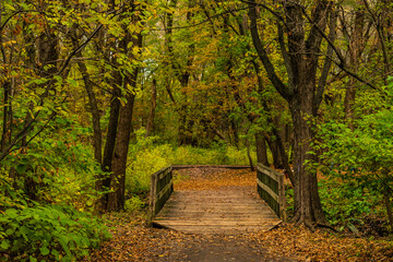 Maizerets Park in Quebec city, mid autumn