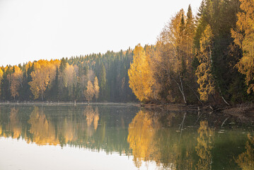 Autumn landscape, a beautiful forest on the banks of the river, the sunlight and the rays through yellow, gold foliage. Bright colors of autumn on the trees.