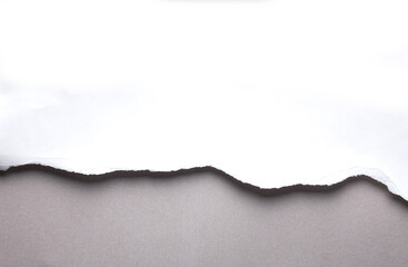 White torn paper on gray background. collection paper rip