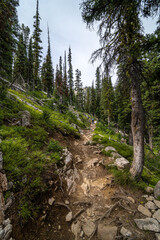 Obraz premium Iron Creek Trail, Sawtooth Wilderness in the Sawtooth Mountain Area, Idaho