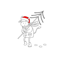A bull in a Santa hat, coat and felt boots carries a Christmas tree for the holiday. Symbol of 2021. New Year. Christmas. Holiday postcard