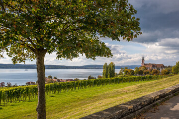 Bodenseepanorama