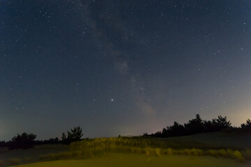 Fototapeta na wymiar night starry sky above a forest silhouette
