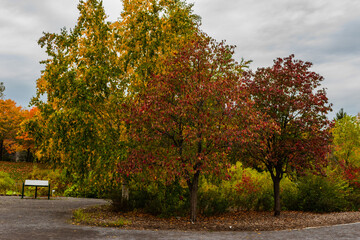 Naklejka premium Maizerets park in Quebec city, mid autumn