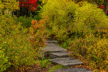 Fototapeta na wymiar Maizerets park in Quebec city, mid autumn