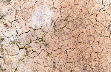 a barren land of jaisalmer,rajasthan