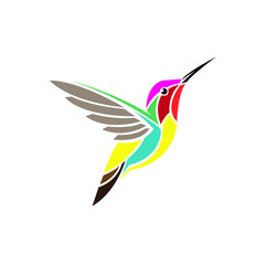 hummingbird and flower